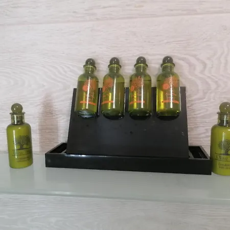 ホテル Afrodite Luxury Telendos