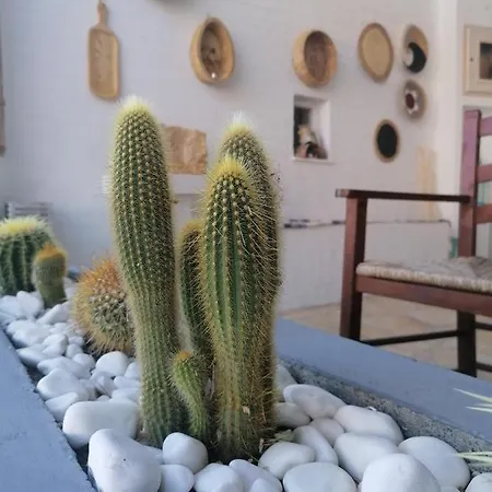 Afrodite Luxury Otel *