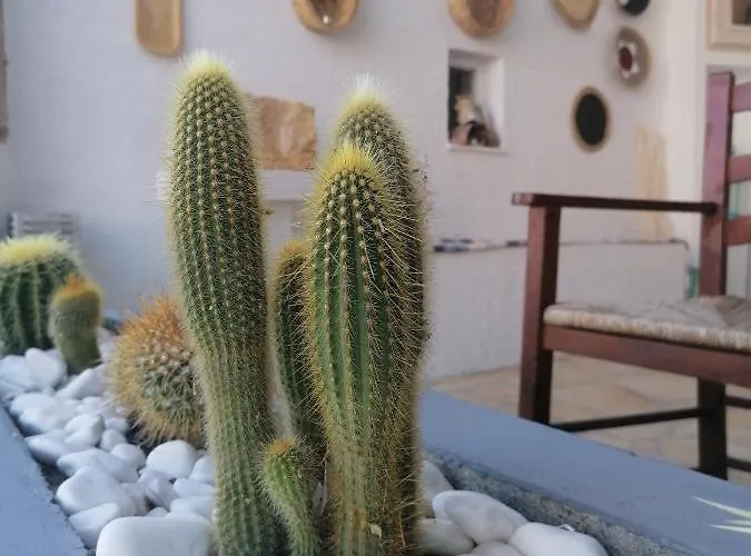 Afrodite Luxury Hotel *